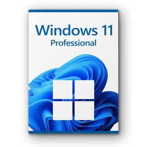 Microsoft Windows 11 Professional license for 3 devices
